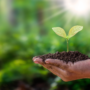 Should Farmers Get Fired Up About Biochar?