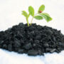 Why Farmers Should Get Fired Up About Biochar