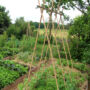 Why We Bother Teaching Farmers to Regenerate the Soil