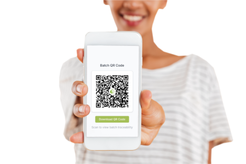 QR Code_ QR Code_